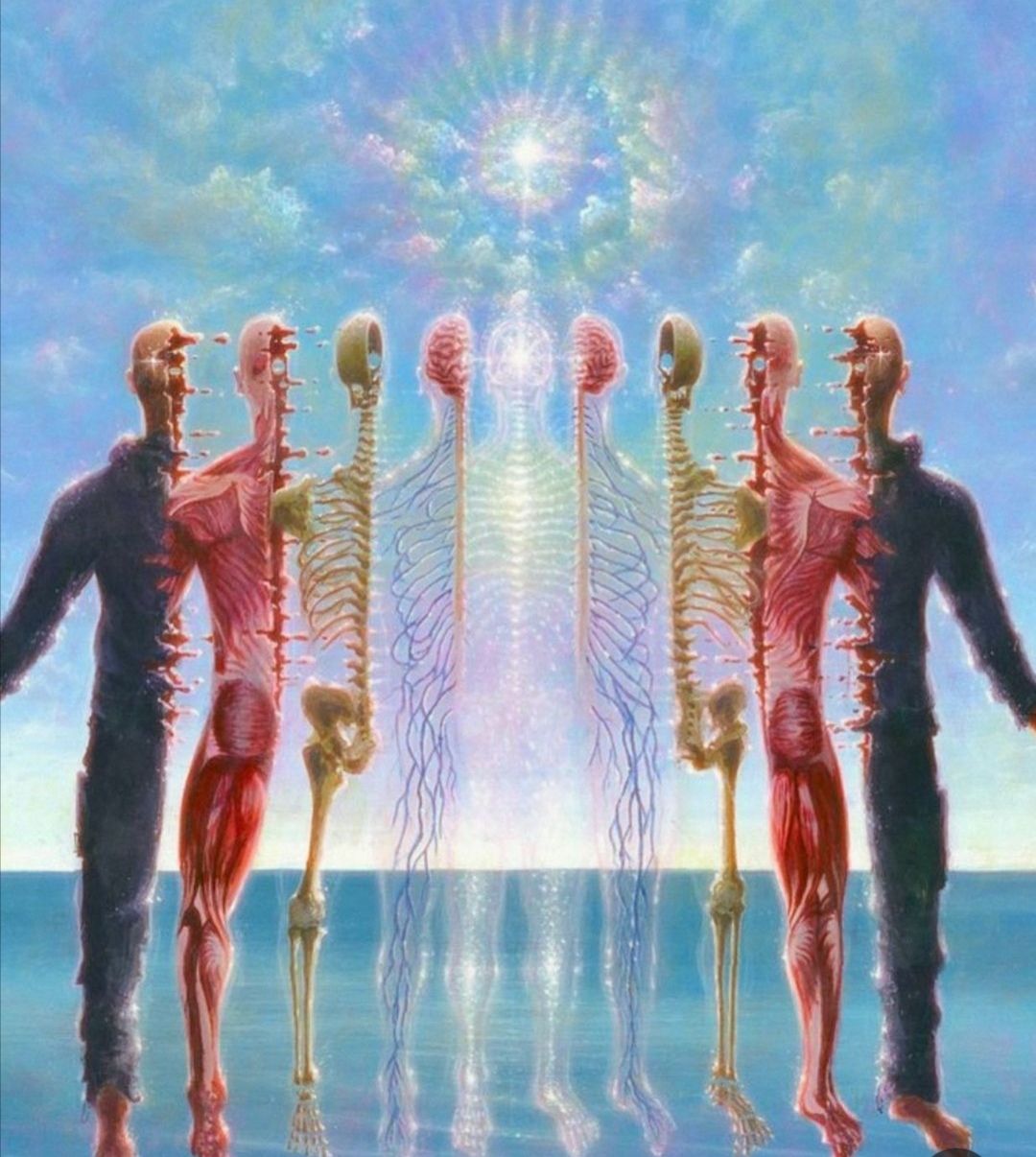TRE